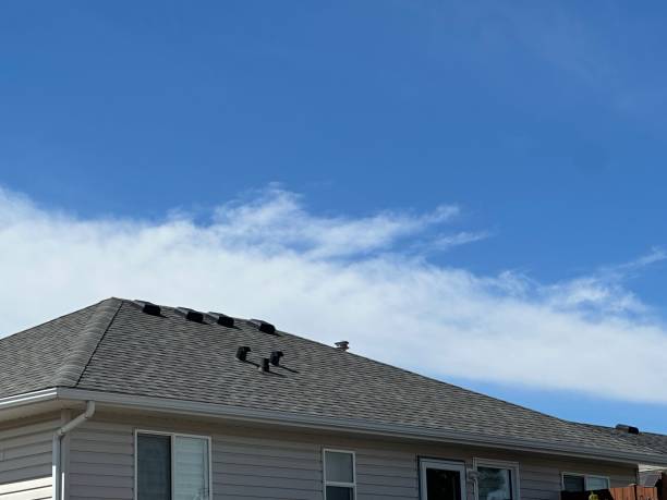 Best Cold Roofs  in Snowflake, AZ